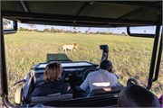 205-025-OkavangoDelta4
