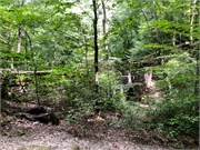 004-Poinsett_Bridge