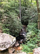 009-Poinsett_Bridge