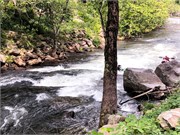 023-Nanthahala_Camping