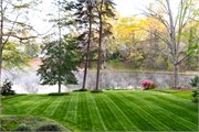 001-Yard-N-Tree
