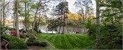 002-Yard-N-Tree