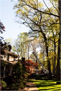 004-Yard-N-Tree