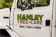 005-Yard-N-Tree