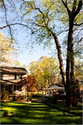 006-Yard-N-Tree