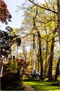 008-Yard-N-Tree