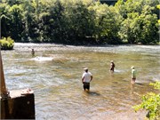 026-0905-Tuckaseegee