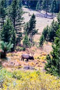007-RockyMtnNatlPrk