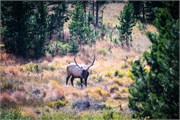 008-RockyMtnNatlPrk