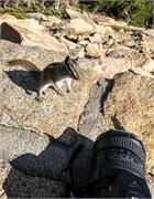 014-RockyMtnNatlPrk