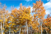 004-ColoradoScenery