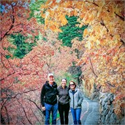 001-TimpanogosCave