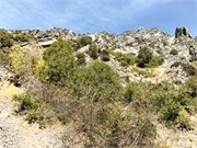 003-TimpanogosCave