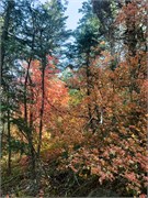 005-TimpanogosCave