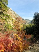 012-TimpanogosCave