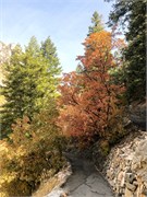 014-TimpanogosCave