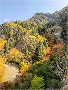 018-TimpanogosCave