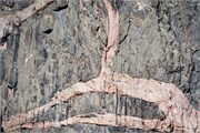 023-BlkCanyonGunnison