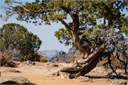 025-BlkCanyonGunnison