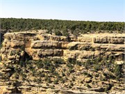 031-MesaVerde