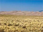 007-GreatSandDunes