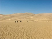 011-GreatSandDunes