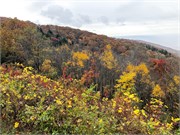 013-BlueridgeParkwayColors