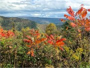 021-BlueridgeParkwayColors