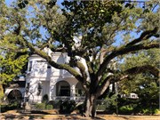 001-CharlestonOct2020