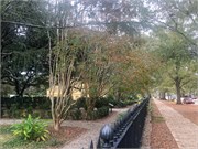 013-Columbia_Walk