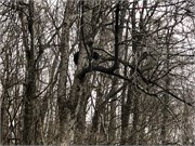 004-Skyline_Drive