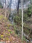 006-Natural_Bridge