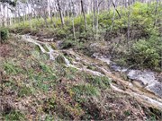 007-Natural_Bridge
