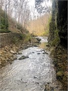 010-Natural_Bridge