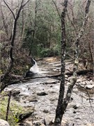 015-Natural_Bridge