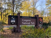 001-CongareeNatlPrk