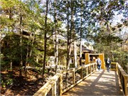 002-CongareeNatlPrk