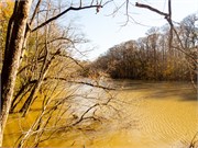 009-CongareeNatlPrk