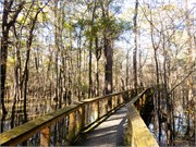 012-CongareeNatlPrk