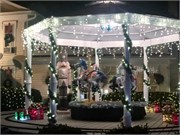 010-Christmas-House