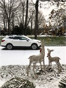 036-Christmas2020