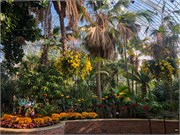 004-PhippsConservatory