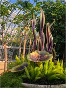 008-PhippsConservatory