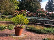 020-PhippsConservatory