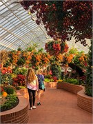 033-PhippsConservatory