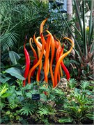 035-PhippsConservatory