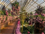 036-PhippsConservatory