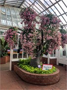 038-PhippsConservatory