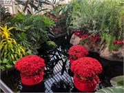 039-PhippsConservatory