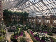 043-PhippsConservatory